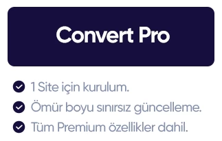 convert-pro-wordpress-plugin.PNG