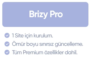 brizy-pro-wordpress-plugin.PNG